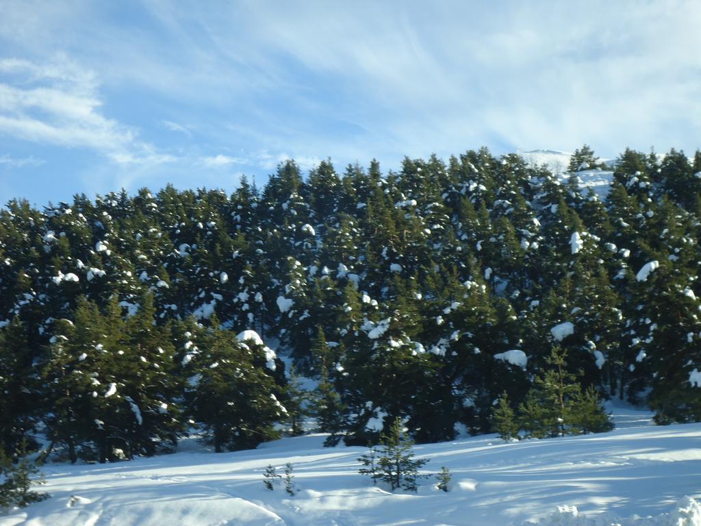 Apartment Face Aux Pistes Greolieres les Neiges Exterior foto