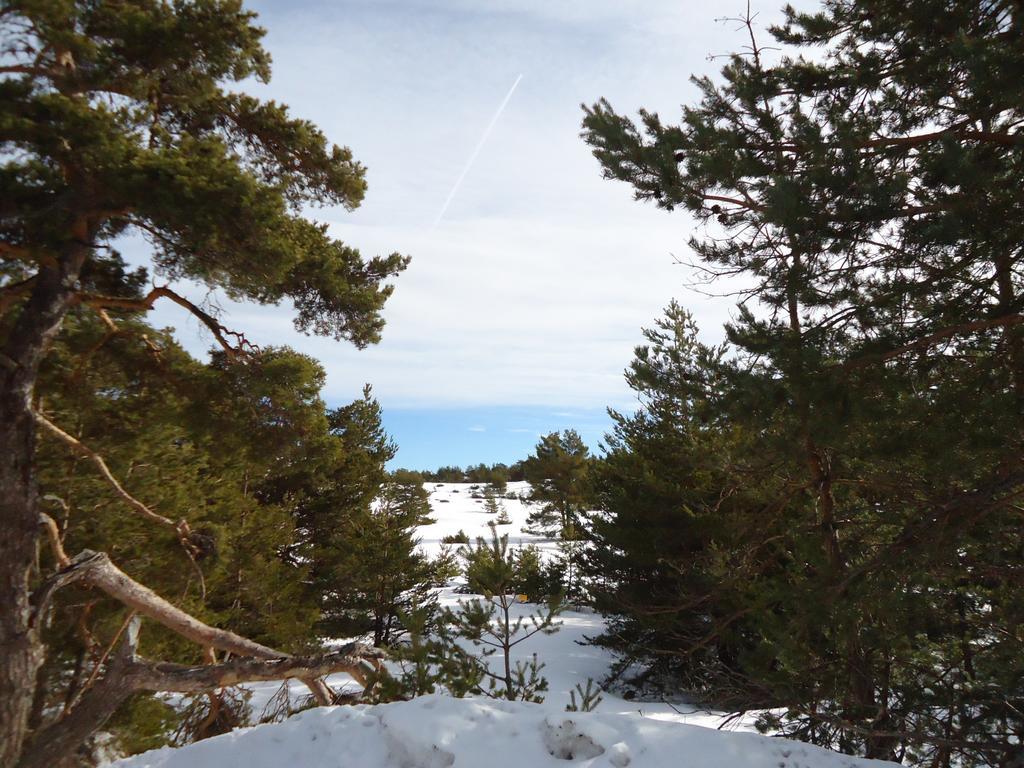 Apartment Face Aux Pistes Greolieres les Neiges Exterior foto