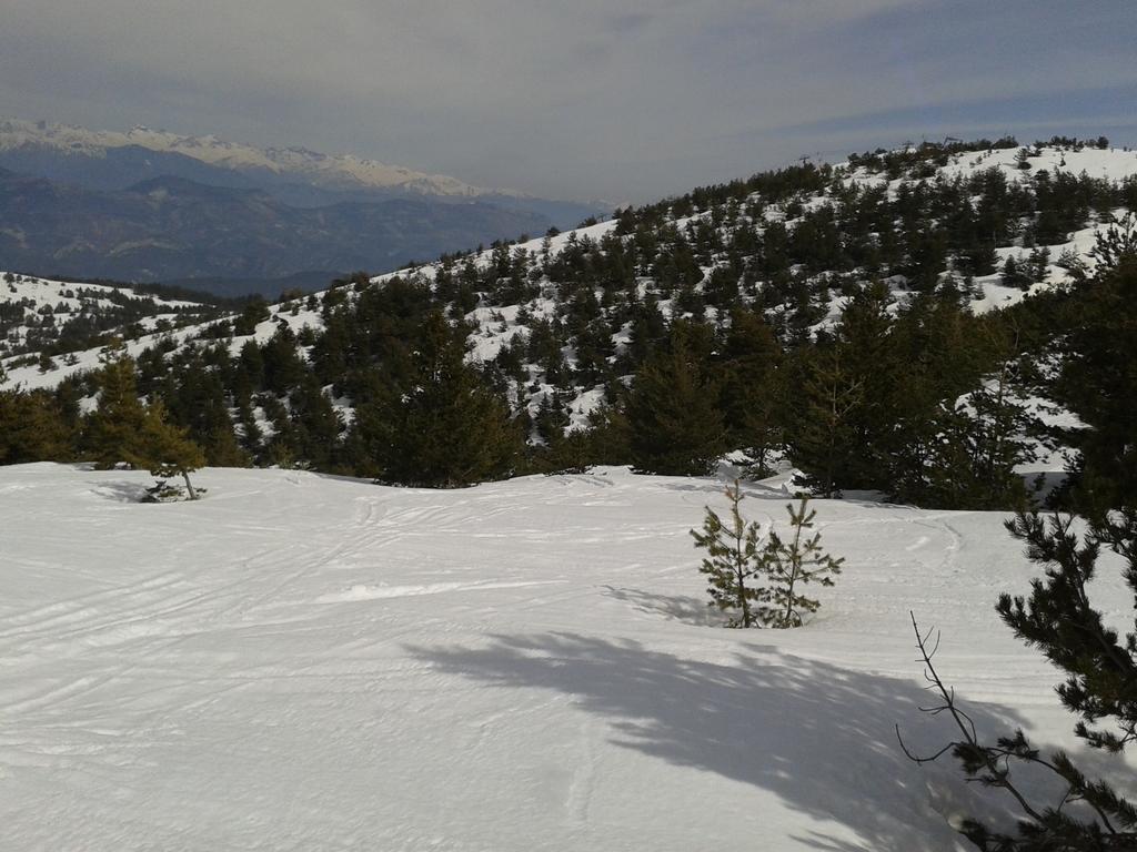 Apartment Face Aux Pistes Greolieres les Neiges Exterior foto